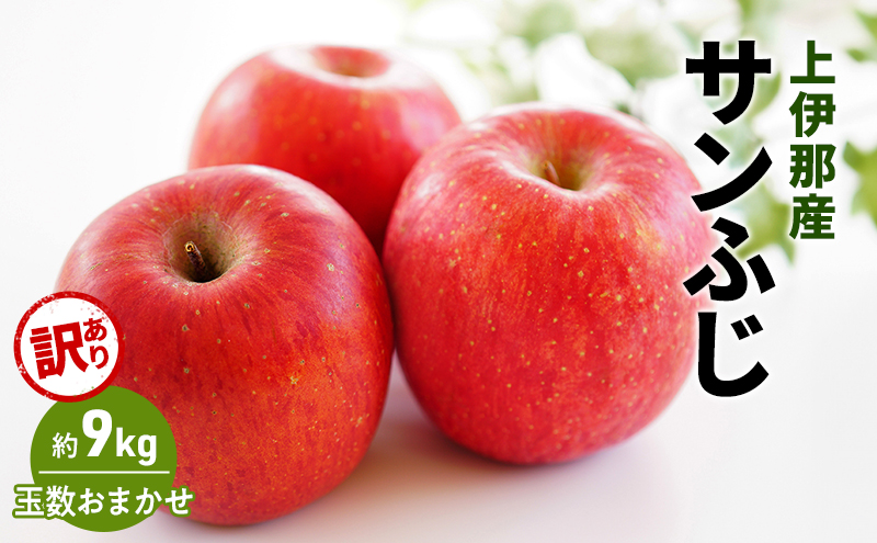 訳あり りんご サンふじ 9kg (玉数おまかせ) 果物 フルーツ 信州 長野 駒ヶ根市