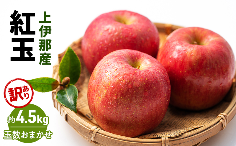訳あり りんご 紅玉 4.5kg (玉数おまかせ) 果物 フルーツ 信州 長野 駒ヶ根市