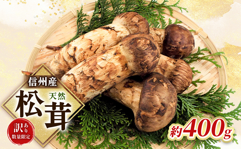 【訳あり】数量限定/信州産「天然松茸」（約400g前後）