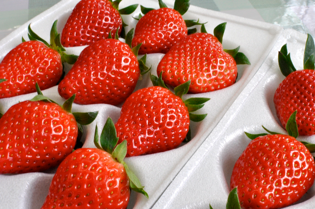 南信州産「いちご」 (300g×4パック)　【伊那森パーク】