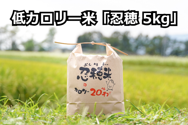 低カロリー米  忍穂（おしほ）5kg