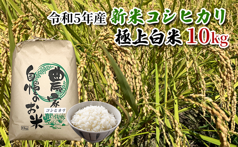 【農家直送/令和5年産新米】長野県産「コシヒカリ」（10kg）（炊飯食味値88点の極上白米）