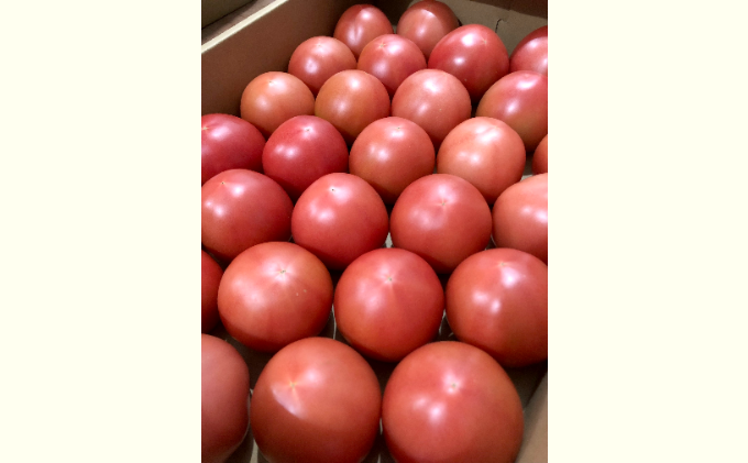 長野県産「山のトマト」(4kg箱入り)