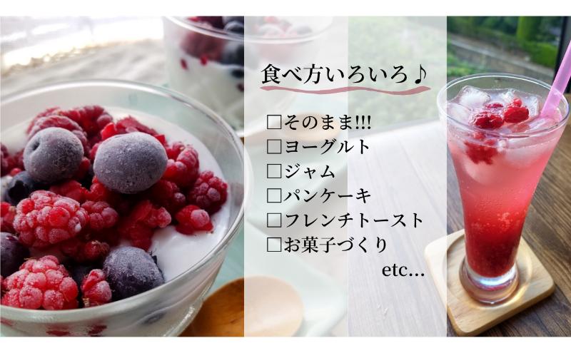 【1kg】冷凍国産ラズベリー 駒ヶ根市 フルーツ 冷凍 ラズベリー 日本産 スムージー 砂糖不使用 無糖