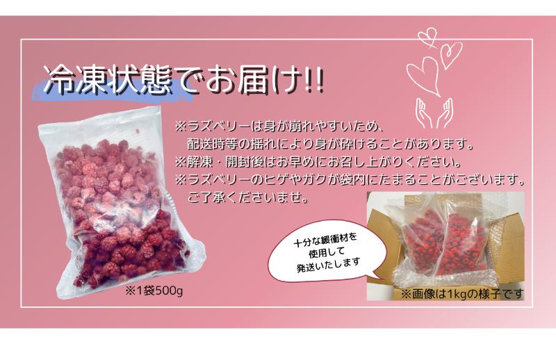 【1kg】冷凍国産ラズベリー 駒ヶ根市 フルーツ 冷凍 ラズベリー 日本産 スムージー 砂糖不使用 無糖