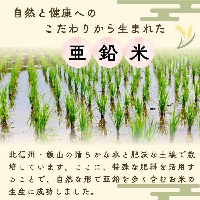 【令和７年産 新米】 飯山産コシヒカリ〜亜鉛米〜カラダが喜ぶ栄養ごはん 無洗米 ５kg 真空パック（7-50） 亜鉛米 無洗米5kg