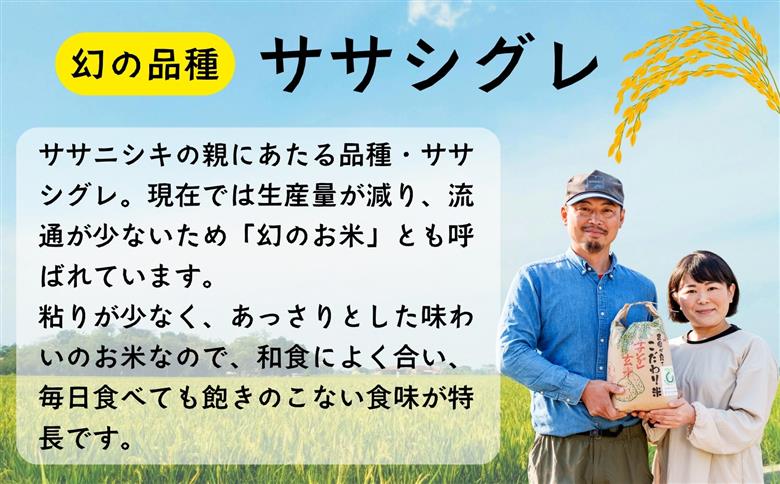 【令和7年産】幻のお米 ササシグレ 玄米 5kg 《 栽培期間中 農薬・化学肥料不使用 》やよい農園  (7-91) 玄米5kg