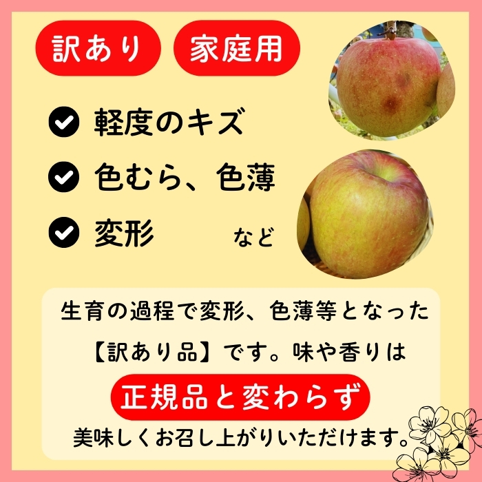 【先行予約】【訳あり】サンふじ 【約5kg(11〜20玉）】（2025年産）(7-A39-2)