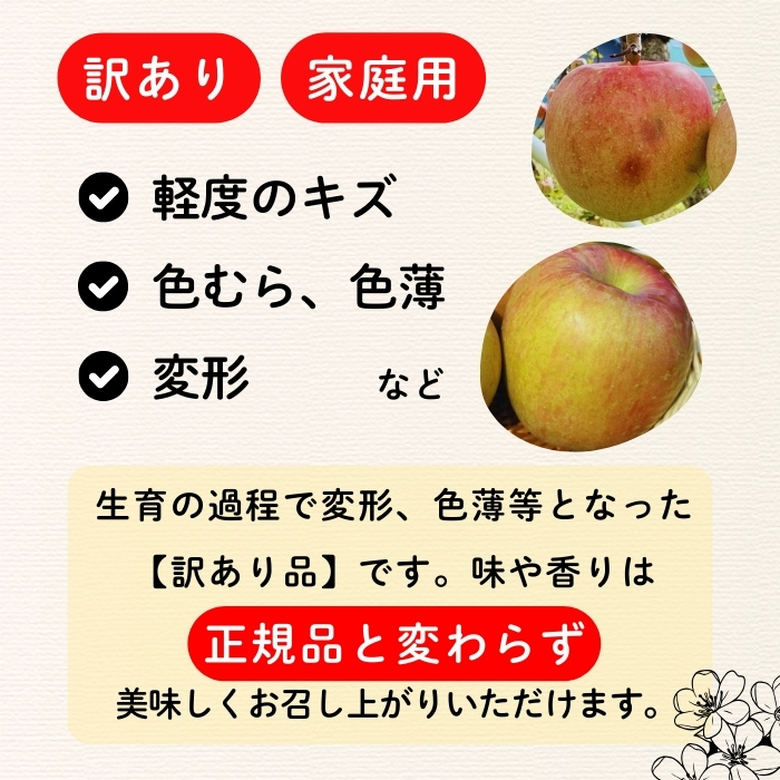 【先行予約】【訳あり】サンふじ 【約10kg(22〜40玉）】（2025年産）(7-A39-3)