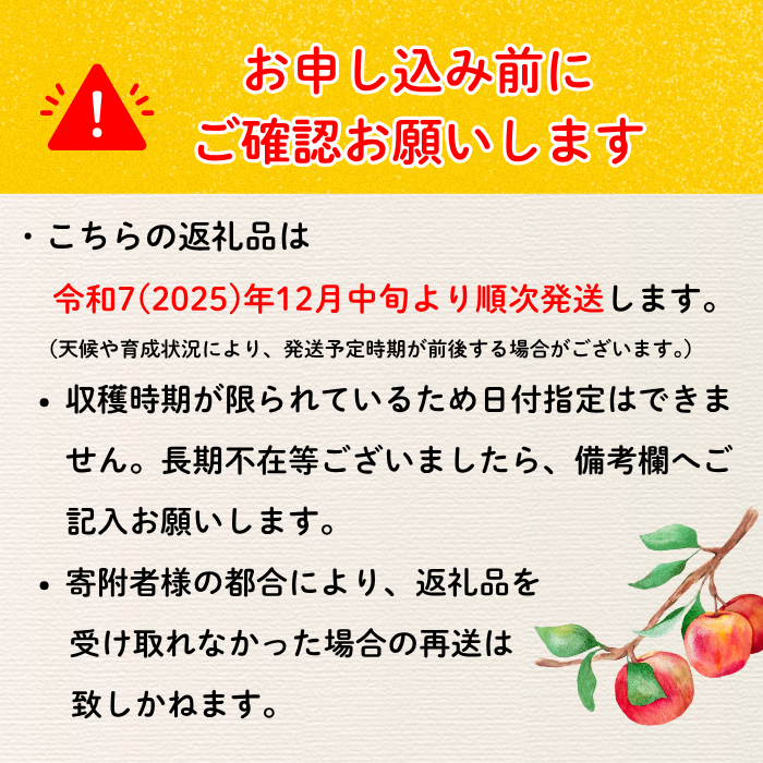 【先行予約】サンふじ 小玉 約3kg （10〜14玉）（2025年12月中旬から発送）りんご サンふじ 限定  直送 好評 （7-A42-1）