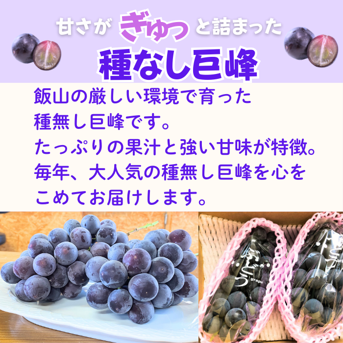 【先行予約丨2026年9月上旬より順次発送】種なし巨峰【約1kg(2房あたり)】(At-005)丨長野県 飯山市 おすすめ ランキング おいしい 高評価 大人気 先取り 産地直送 ぶどう 巨峰 巨峰