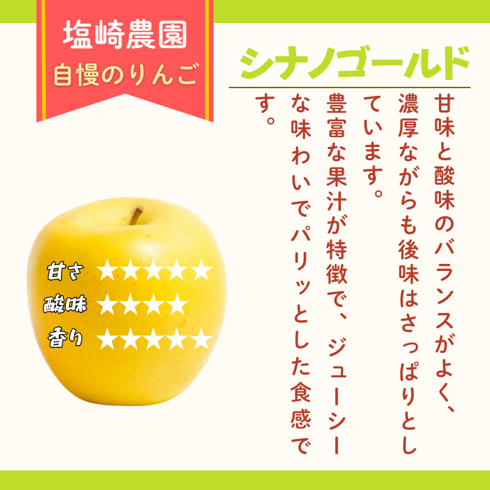 【先行予約丨2026年10月下旬より順次発送】シナノゴールド【約3kg (6〜12玉)】(At-014)丨長野県 飯山市 おすすめ ランキング おいしい 高評価 大人気 先取り 産地直送 りんご