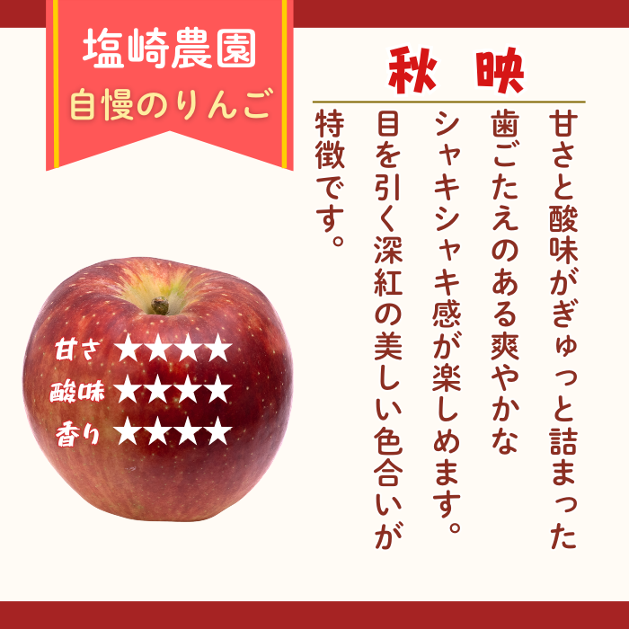 【先行予約丨2026年10月上旬より順次発送】訳あり 秋映【約3kg(6〜14玉)】(At-017)丨長野県 飯山市 おすすめ ランキング おいしい 高評価 大人気 先取り 産地直送 りんご 訳あり 規格外  あきばえ
