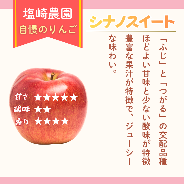 【先行予約丨2026年10月中旬より順次発送】訳あり シナノスイート【約3kg(6〜14玉)】(At-020)丨長野県 飯山市 おすすめ ランキング おいしい 高評価 大人気 先取り 産地直送 りんご 訳あり 規格外