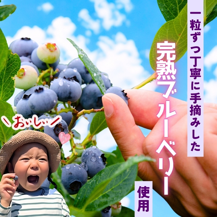 手作りジェラート ブルーベリー姫 ８個 （Br-001）信州産牛乳 信州 アイス スイーツ ひんやりスイーツ おやつ デザート ブルーベリー