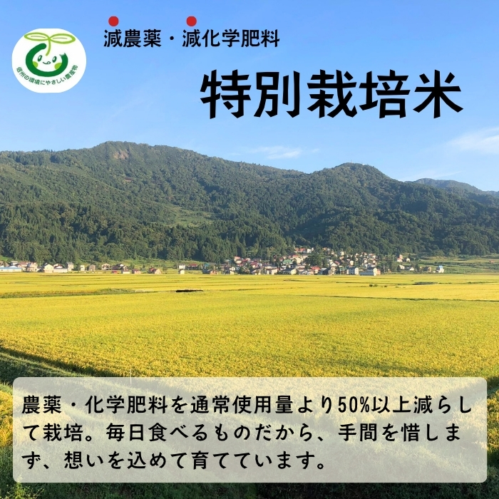 【令和７年産】 特別栽培米 「かまくらの里 コシヒカリ」 精米 5kg （5kg×1袋）【数量限定】(7-1B) | お米 米 コメ ごはん 白米 こしひかり 減農薬 おいしい オススメ 精米5kg