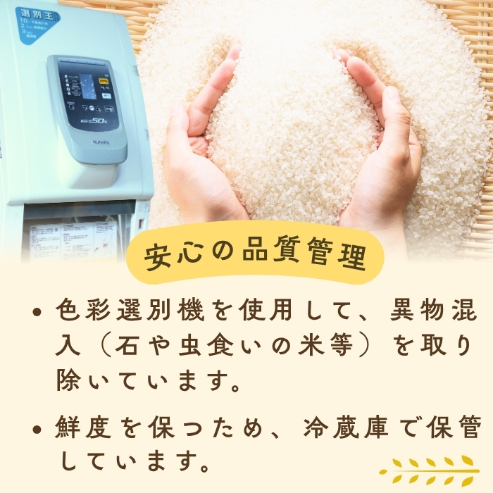 【令和７年産 新米】 飯山産コシヒカリ〜亜鉛米〜カラダが喜ぶ栄養ごはん 無洗米 ５kg 真空パック（7-50） 亜鉛米 無洗米5kg