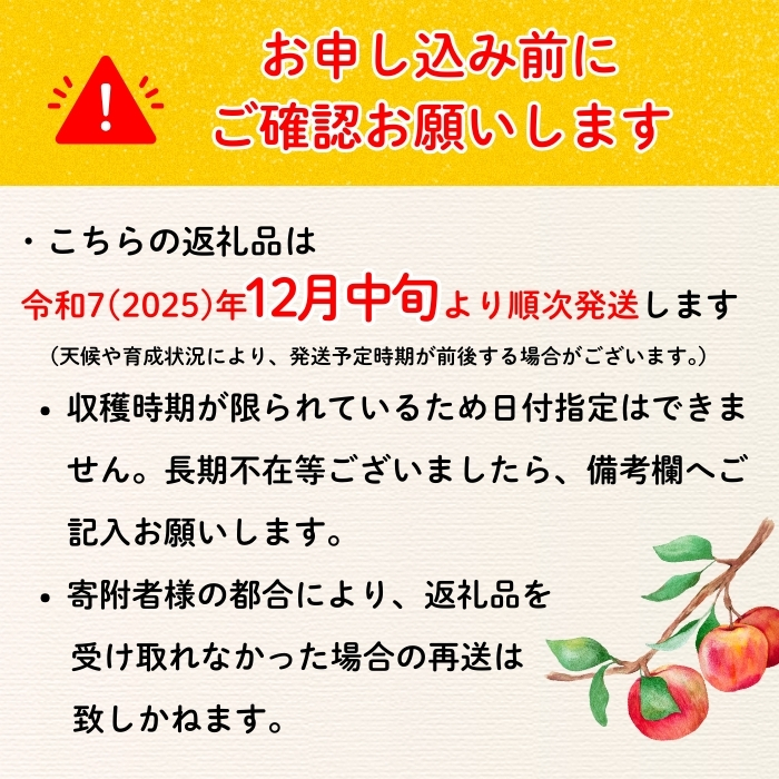 【先行予約】【訳あり】サンふじ 【約3kg(6〜14玉）】（2025年産） (7-A39-1)