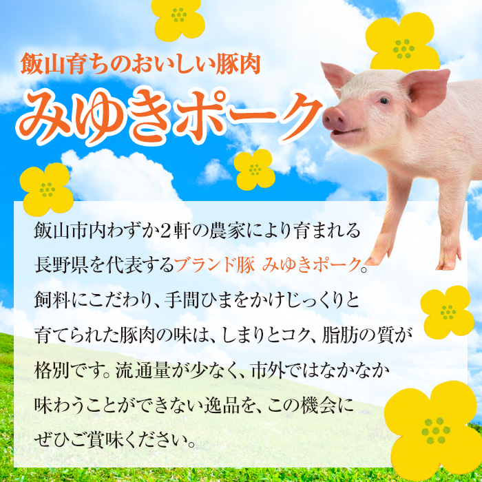 みゆきポーク　満喫　食べ尽くしセット (Ae-001)