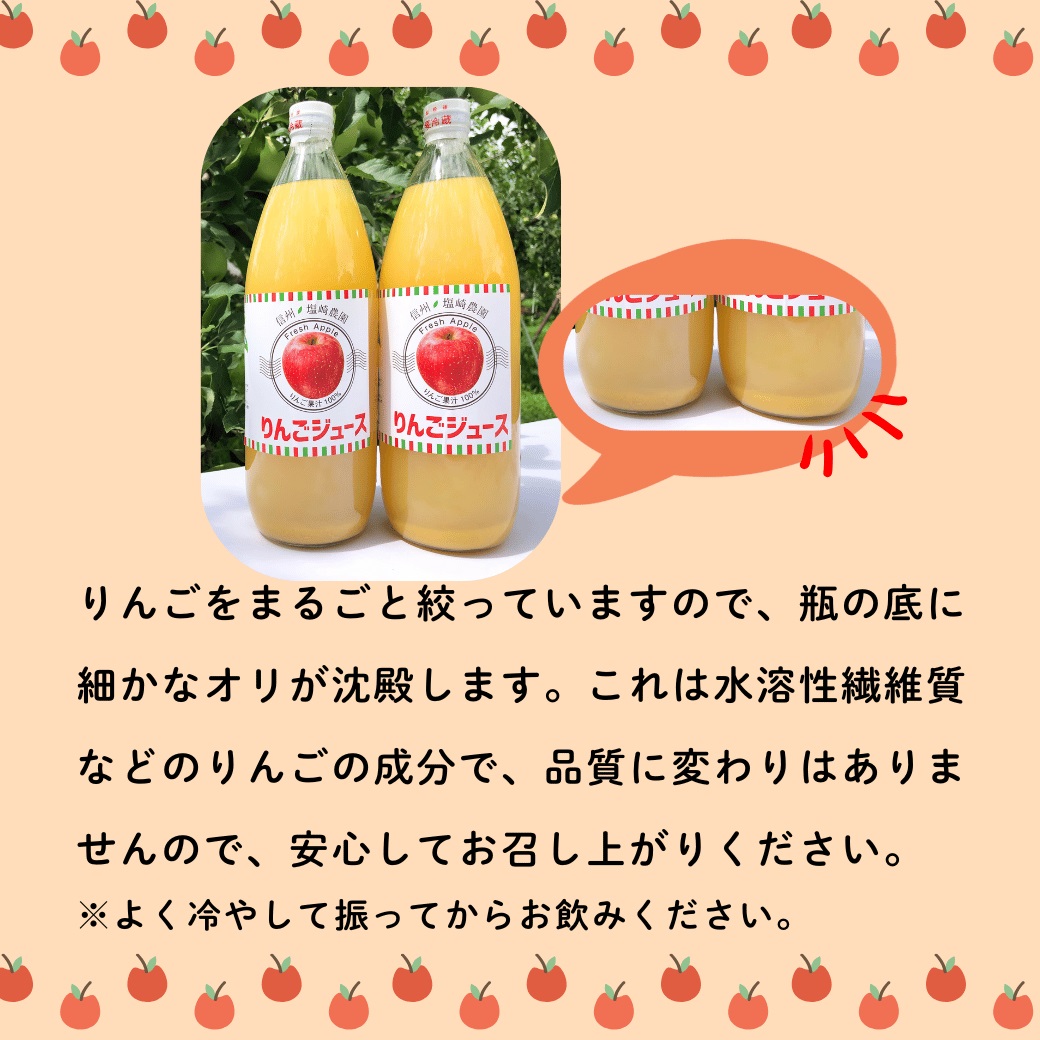 信州１００％リンゴジュース（1L瓶×2本）(At-001)