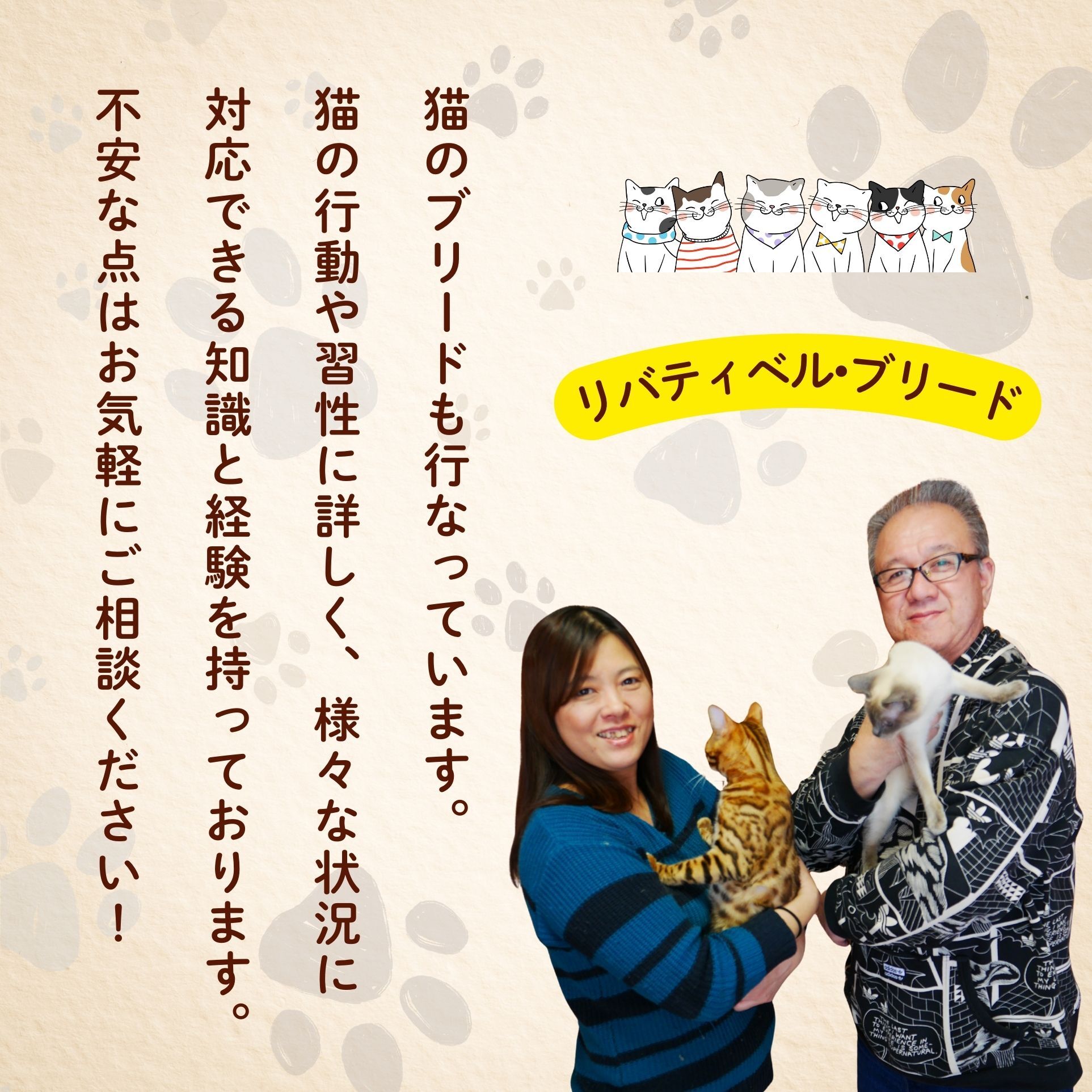 【長野県飯山市】にゃんほてる（猫専用ペットホテル） リベティベル 利用券3,000円分（T-17）