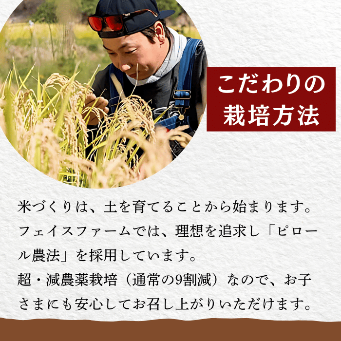 【令和７年産】 極上のコシヒカリ「708米（なおやまい）【黒】10kg (7-34) 黒 精米10kg