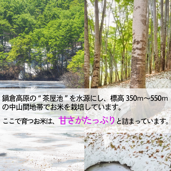 【令和7年産 新米】沼田さんちの満点こしひかり 10kg(7-58A） こしひかり 精米10kg