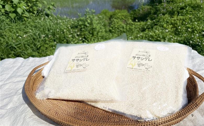 【令和7年産】幻のお米 ササシグレ 白米 4.5kg 《 栽培期間中 農薬・化学肥料不使用 》やよい農園  (7-88) 白米4.5kg