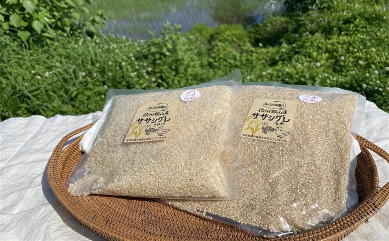 【令和7年産】幻のお米 ササシグレ 玄米 5kg 《 栽培期間中 農薬・化学肥料不使用 》やよい農園  (7-91) 玄米5kg