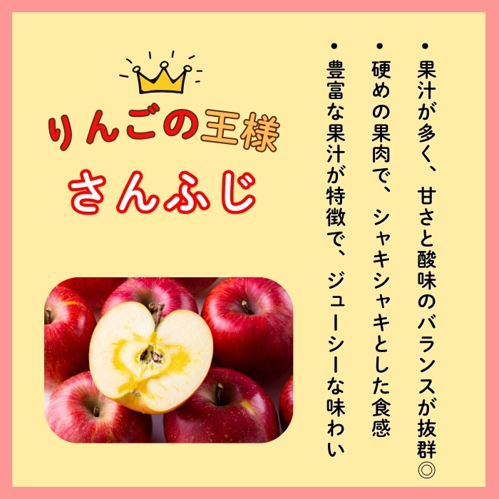 【先行予約】【訳あり】サンふじ 【約3kg(6〜14玉）】（2025年産） (7-A39-1)
