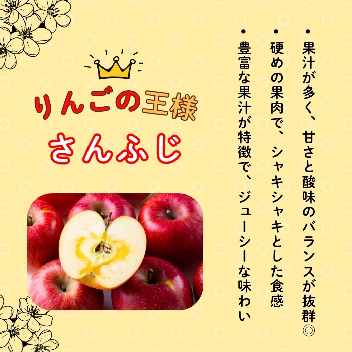 【先行予約】【訳あり】サンふじ 【約10kg(22〜40玉）】（2025年産）(7-A39-3)