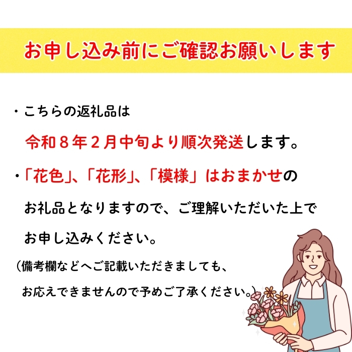 【期間限定】冬に咲く『 クリスマスローズ 』（3鉢セット）《2026年月2月中旬以降に発送予定》（7-A40-2）