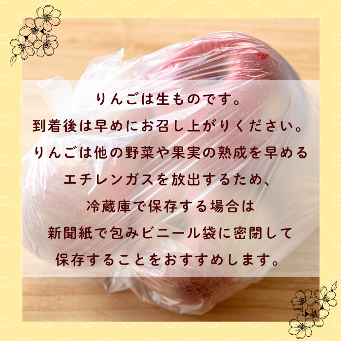 【先行予約】サンふじ 小玉 約3kg （10〜14玉）（2025年12月中旬から発送）りんご サンふじ 限定  直送 好評 （7-A42-1）