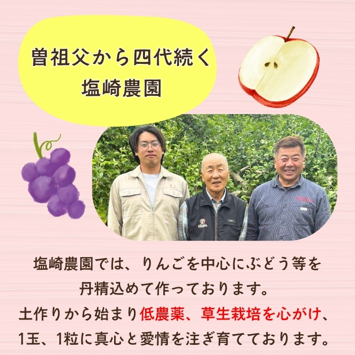 信州100％りんごジュース（1L瓶×2本）(At-001)