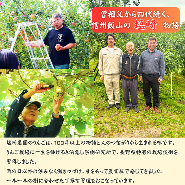 【先行予約丨2026年10月下旬より順次発送】シナノゴールド【約3kg (6〜12玉)】(At-014)丨長野県 飯山市 おすすめ ランキング おいしい 高評価 大人気 先取り 産地直送 りんご