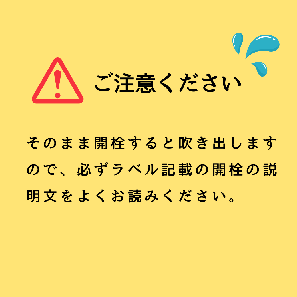 自然の泡に癒される,シュワシュワ日本酒！ 北光正宗・純米生スパークリング（Bk-012） 北光正宗・純米生スパークリング