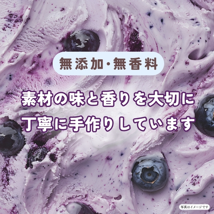 手作りジェラート ブルーベリー姫 ８個 （Br-001）信州産牛乳 信州 アイス スイーツ ひんやりスイーツ おやつ デザート ブルーベリー