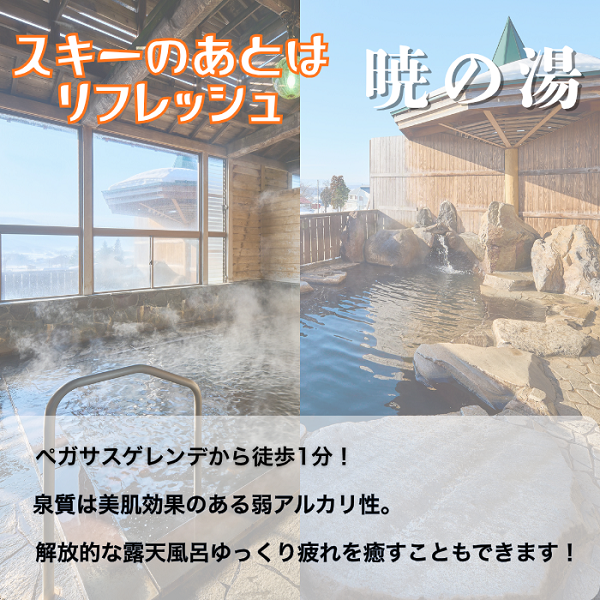 戸狩温泉スキー場　１日リフト券引換券 １枚(T-20)