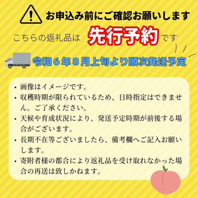 先行予約】桃【約2-2.5kg】（6-9玉）(Z-1.1): 飯山市ANAのふるさと納税