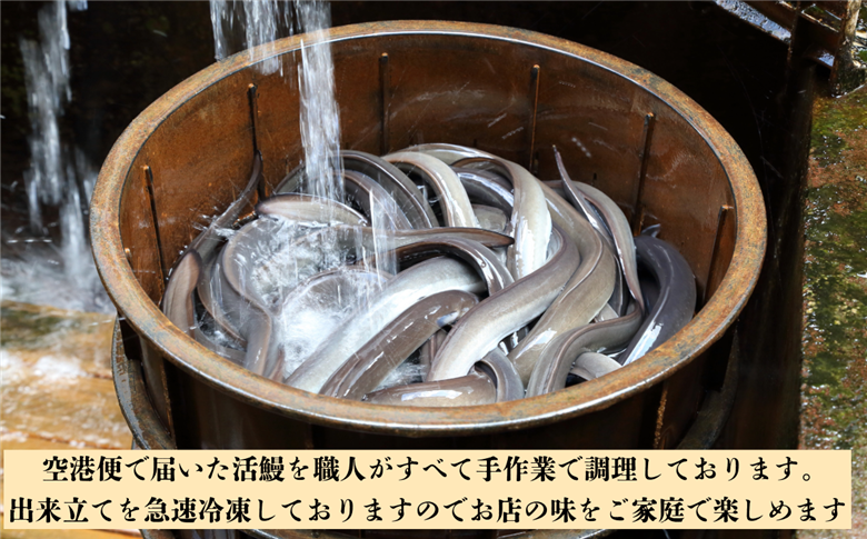【冷凍配達】明治37年創業「本多」国産鰻蒲焼4尾（150g以上×4）・うなぎおつまみ付(Ab-006) 【冷凍】鰻蒲焼4尾