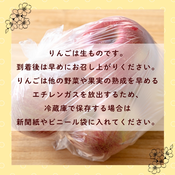 【先行予約丨2026年10月中旬より順次発送】シナノスイート【約3kg (6〜12玉)】(At-011)丨長野県 飯山市 おすすめ ランキング おいしい 高評価 大人気 先取り 産地直送 りんご