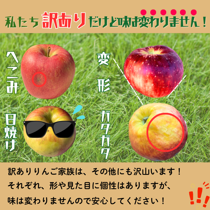 【先行予約丨2026年10月上旬より順次発送】訳あり 秋映【約3kg(6〜14玉)】(At-017)丨長野県 飯山市 おすすめ ランキング おいしい 高評価 大人気 先取り 産地直送 りんご 訳あり 規格外  あきばえ