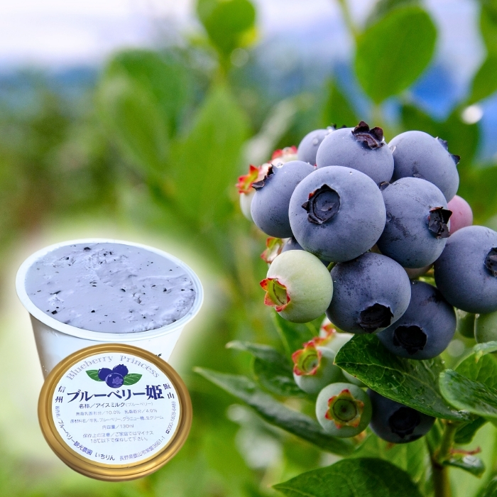 手作りジェラート ブルーベリー姫 ８個 （Br-001）信州産牛乳 信州 アイス スイーツ ひんやりスイーツ おやつ デザート ブルーベリー