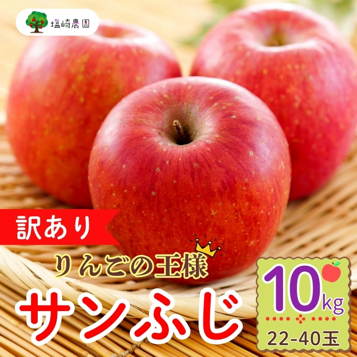 【先行予約】【訳あり】サンふじ 【約10kg(22〜40玉）】（2025年産）(7-A39-3)