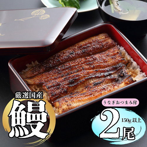 【冷蔵配達】明治37年創業「本多」国産鰻蒲焼2尾（150g以上×2）・うなぎおつまみ付(Ab-003) 【冷蔵】鰻蒲焼2尾
