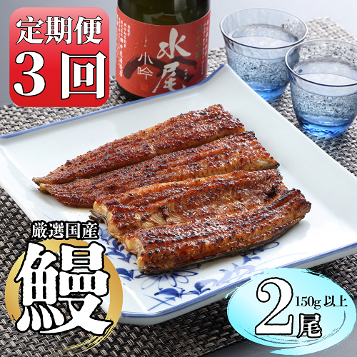 【定期便・冷蔵配達】明治37年創業「本多」国産鰻蒲焼2尾（150g以上×2）・うなぎおつまみ付(Ab-011) 【定期便・冷蔵】鰻蒲焼2尾