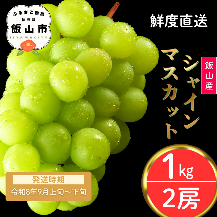 【先行予約丨2026年9月上旬より順次発送】シャインマスカット【約1kg(2房)】(At-006)丨長野県 飯山市 おすすめ ランキング おいしい 高評価 大人気 先取り 産地直送 シャインマスカット 甘い 糖度 シャインマスカット