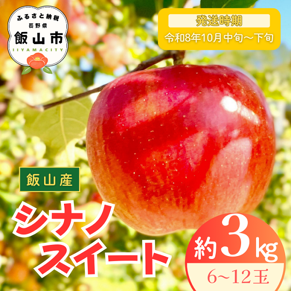 【先行予約丨2026年10月中旬より順次発送】シナノスイート【約3kg (6〜12玉)】(At-011)丨長野県 飯山市 おすすめ ランキング おいしい 高評価 大人気 先取り 産地直送 りんご