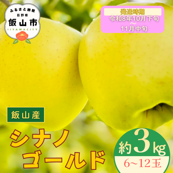 【先行予約丨2026年10月下旬より順次発送】シナノゴールド【約3kg (6〜12玉)】(At-014)丨長野県 飯山市 おすすめ ランキング おいしい 高評価 大人気 先取り 産地直送 りんご