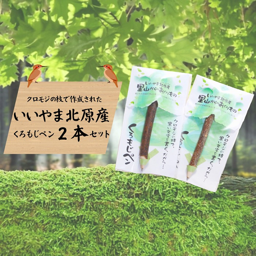 【いいやま北原産】くろもじペン 2本セット（Bp-001）